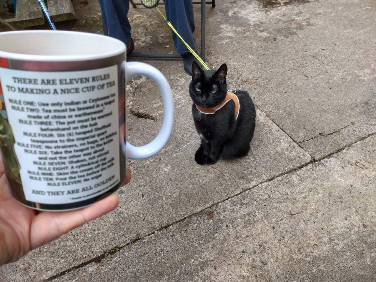 Untrue_Stories's tweet photo. Weekend afternoon garden time with my awesome partner E (legs pictured), and my cat Ninja Kitty Go, and tea in my new mug
(cut some corners by using tea bags, with apologies to the memory of George Orwell #teacrime) https://t.co/vVBAmHixTc
