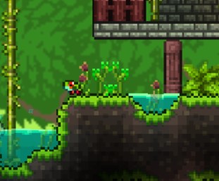 frog ★ tweet media