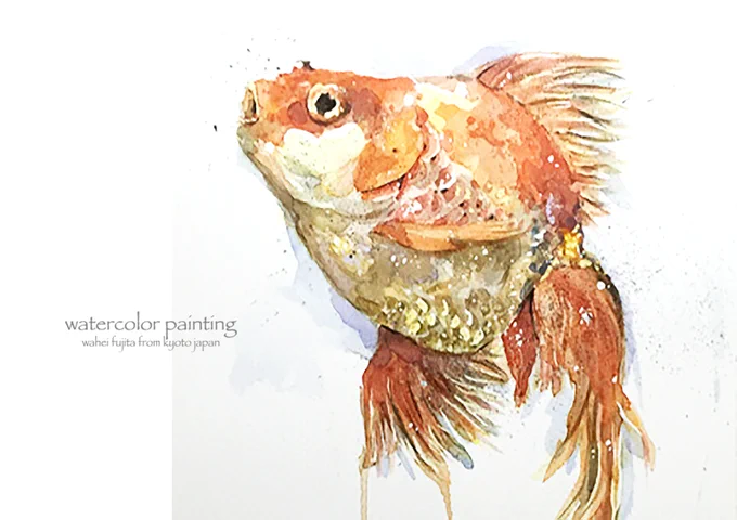 そんなこんなで金魚。#Watercolor #スケッチ #水彩画 #淡彩略画 #透明水彩 #京都水彩画塾  #水彩画ワークショップ  #水彩画教室  #京都の絵画教室 #金魚の絵 