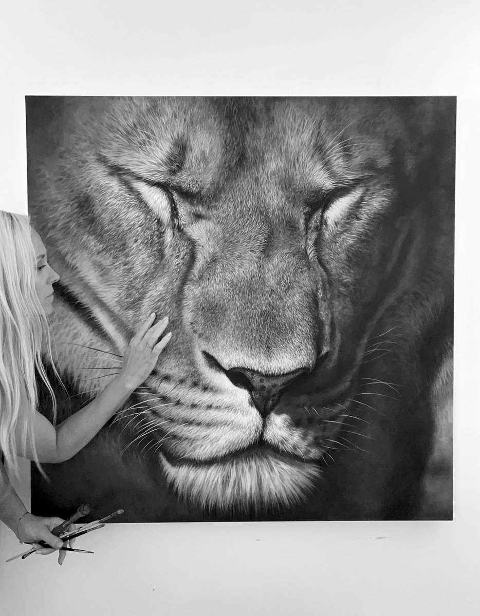 This weekend I’m contemplating my next big painting! (limited edition prints of this painting coming soon)

#lioness #artgallery #artiststudio #painting #artist_sharing #makingarteveryday #wildlifeart #creativeartist #animalart #acrylicpainting #lionpainting #saturdayart