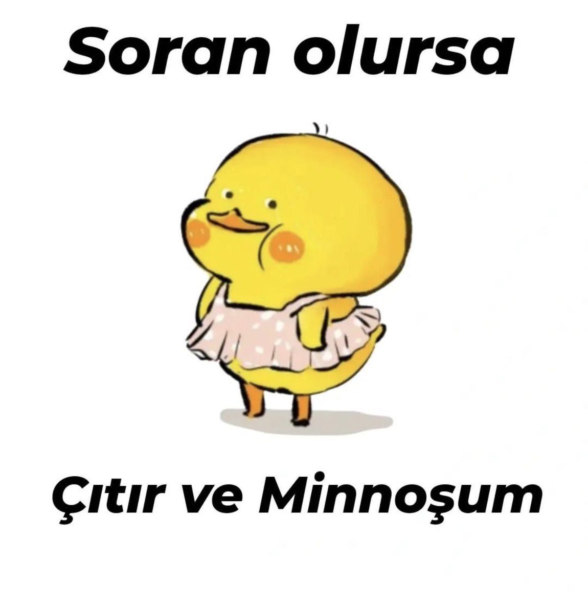 dtycaliskan's tweet photo. En son gönderi 3 yıl öncesi😅🙈soran olursa özelde piremsesti devlete geçince çalışmaktan asosyal olmuş dersiniz. https://t.co/q3cIgAPb2J