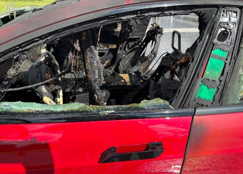 Houndstooth_Belle tweet media