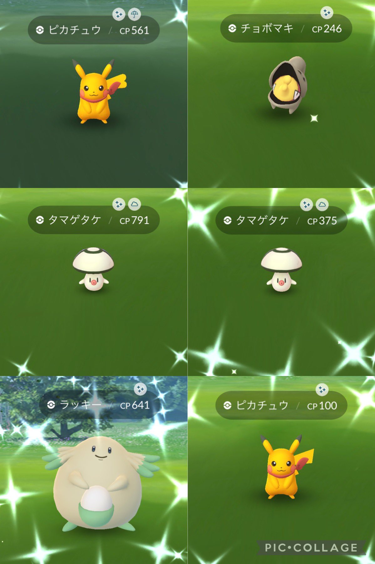 M ポケモンgo Mgo Twitter