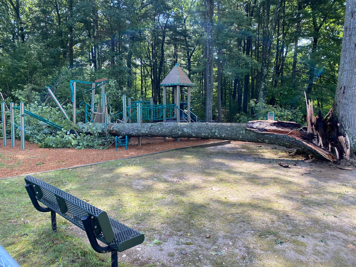 RIP to the small, shady playground at Nonotuck Park in Easthampton. My kids’ favorite. City workers said that by 10 a.m. they had already counted as many as 20 downed trees across the city after yesterday’s storm.