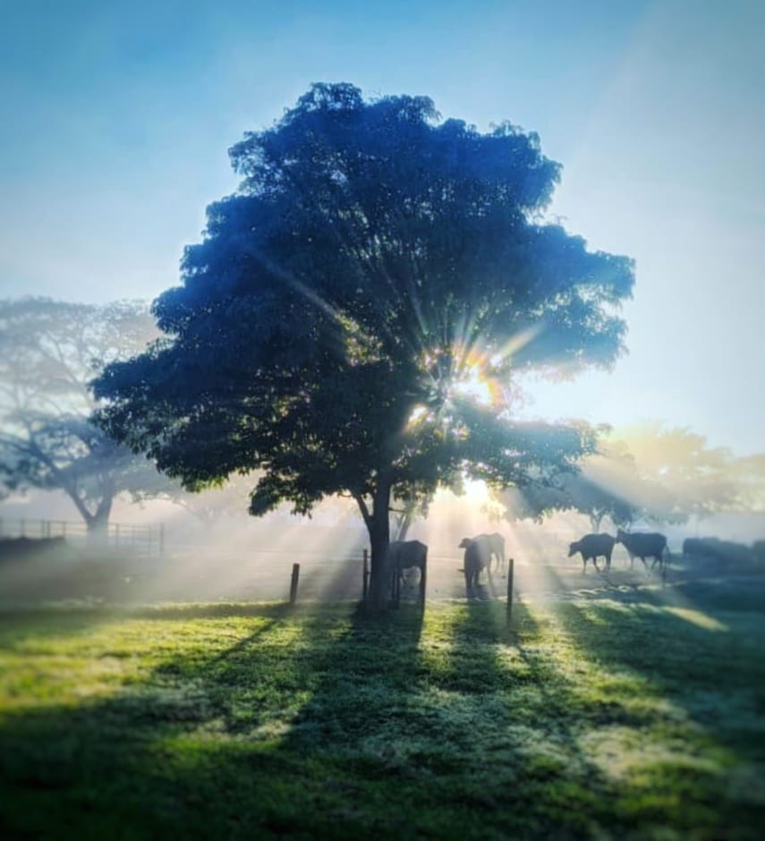 🐾🌹Ramón David🪐🚀🏀 tweet media