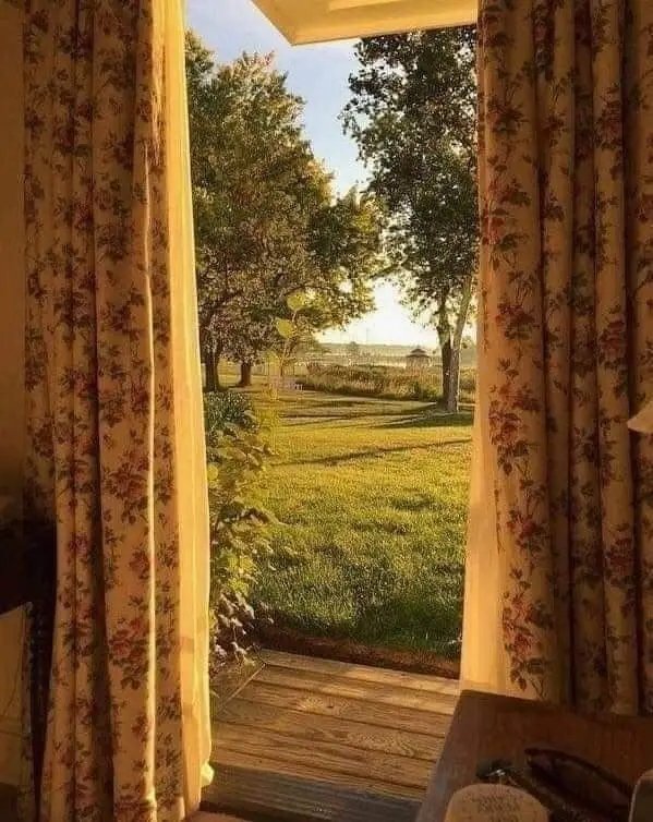 0alwaysmakeart's tweet photo. Imagine living in a place like this 💛🌿 https://t.co/YMvuoIqTgL