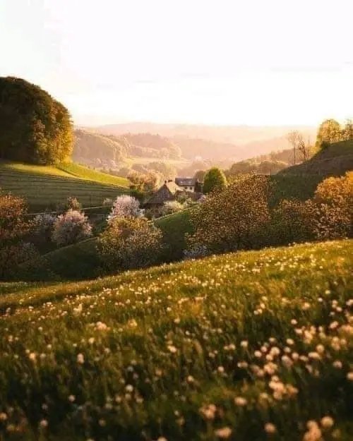 0alwaysmakeart's tweet photo. Imagine living in a place like this 💛🌿 https://t.co/YMvuoIqTgL