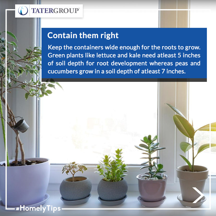 TaterRealty's tweet photo. Growing your own food provides food security and gives you the opportunity to eat the freshest produce available. Don't worry if you have no room for a garden in the yard; indoor gardening can be simple if you know how.
#HomelyTips #IndoorGarden #GardeningTips #HomeDecorTips https://t.co/GbCBch3pmg