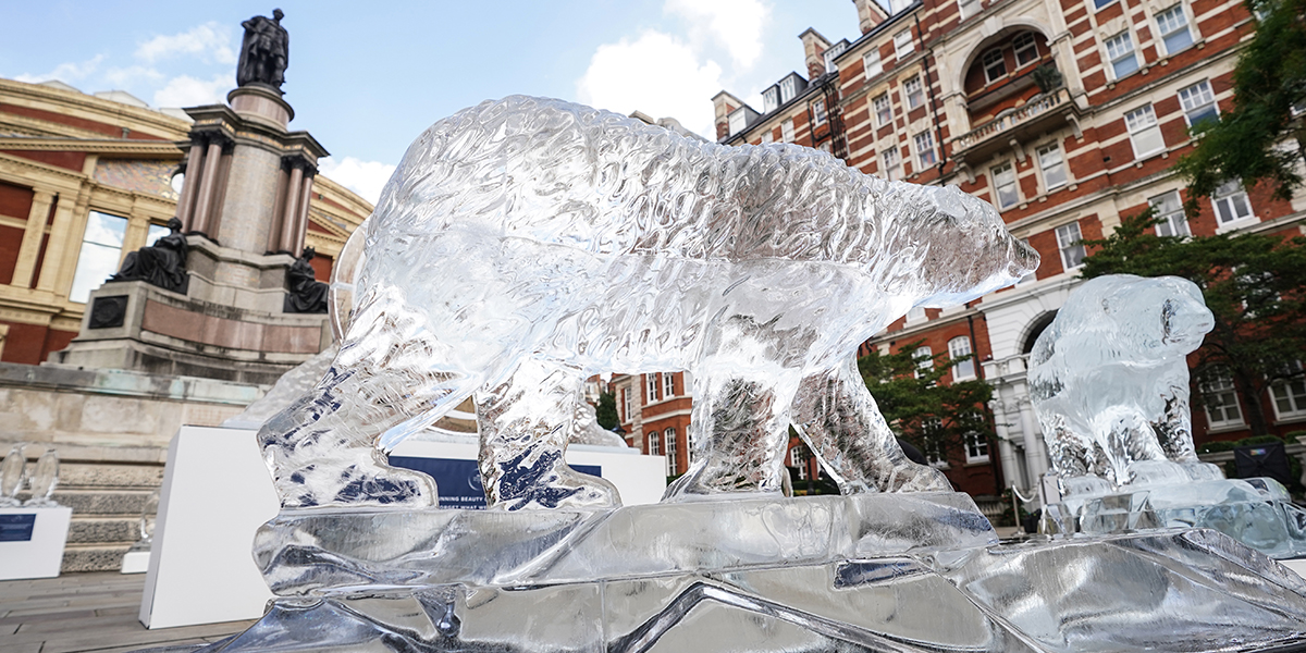 BBCEarth's tweet image. The stunning ice sculptures making their way to the #EarthProm at @RoyalAlbertHall today ❄️

Frozen Planet II, coming to @BBCOne and @BBCiPlayer Sunday 11th September at 8pm.

#FrozenPlanet2 @bbcproms @HansZimmer @AURORAmusic