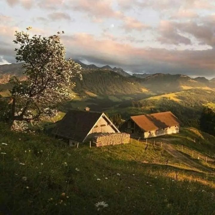 0alwaysmakeart's tweet photo. Imagine living in a place like this 💛🌿 https://t.co/YMvuoIqTgL