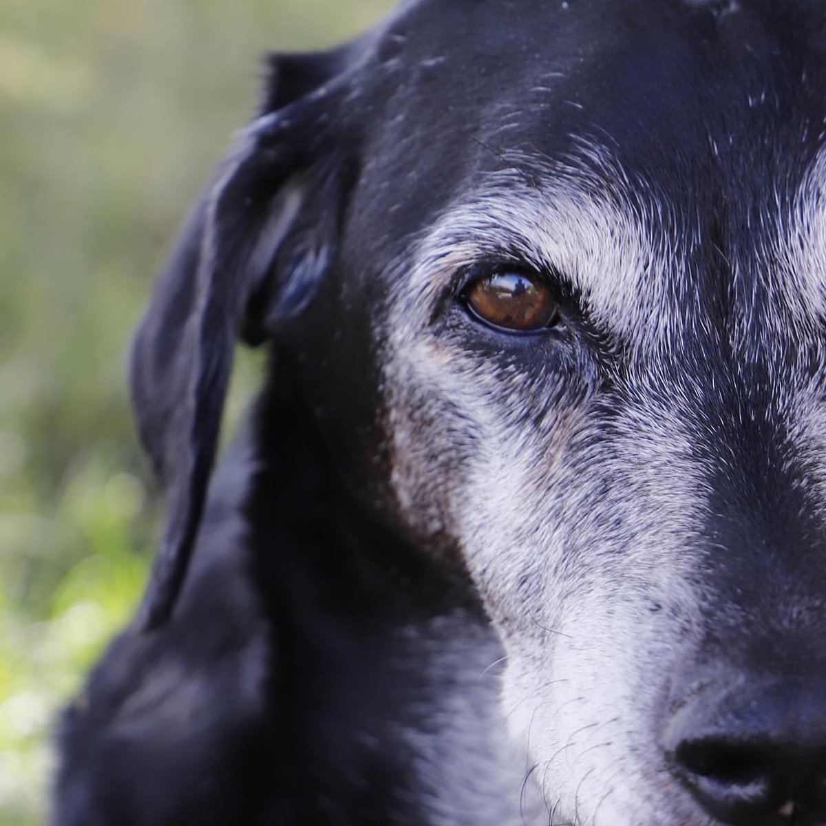 Antonioandet's tweet image. Volviendo a aquello que nos hace felices. 📸Mi musa #Indhira 🖤