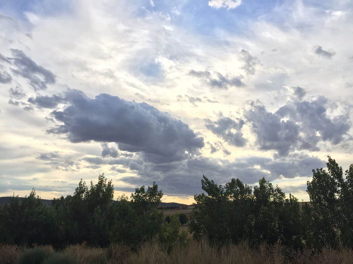 AEMET_Aragon's tweet photo. Aunque la actividad⛈️de esta tarde en #Teruel no ha sido la de ayer, localmente ha vuelto a haber intensidad 🌧️"muy fuerte" #Mosqueruela ha registrado 19 mm en la estación @AEMET_Aragon con intensidad diezminutal equivalente de 40 mm/h
Fotos de #Barrachina de Agustín Chavarrías https://t.co/rmRPPSVA7j