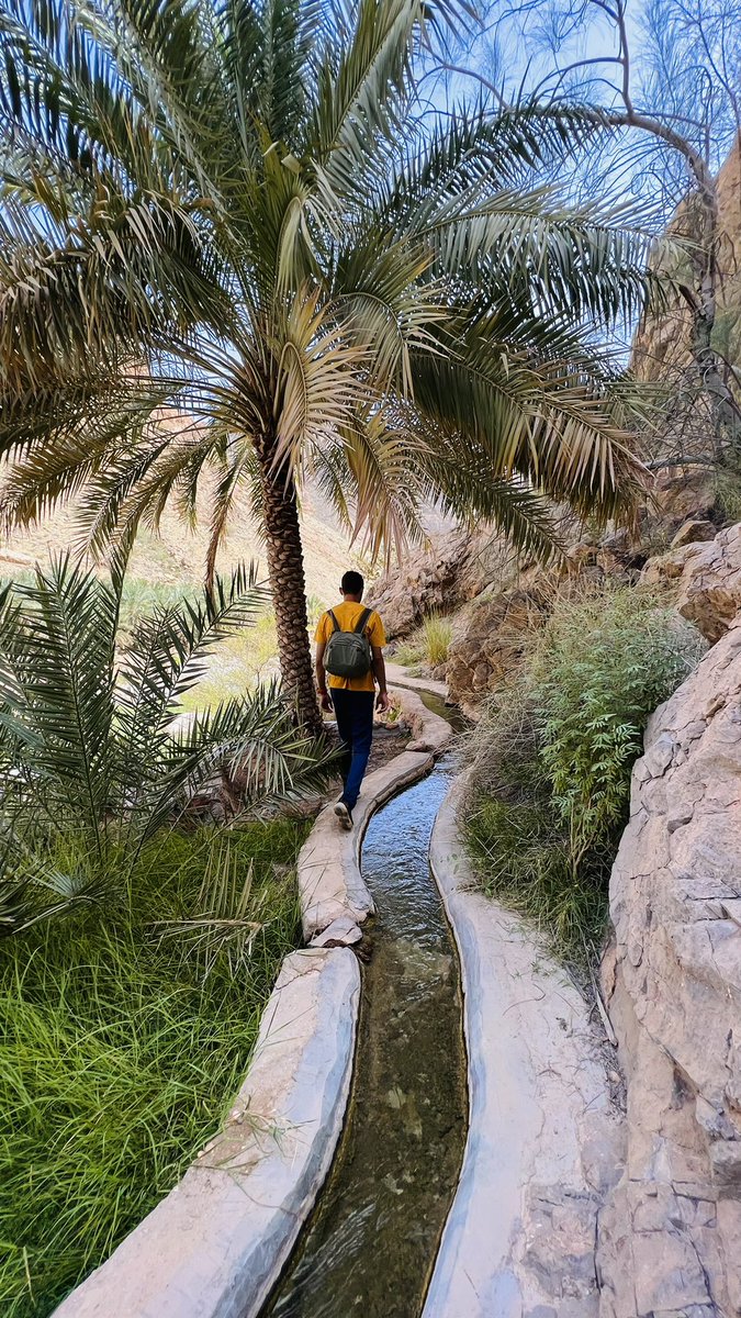 saifalkhusaibi's tweet photo. 📍وادي العربيين_قريات https://t.co/MSwxHeSJ2a