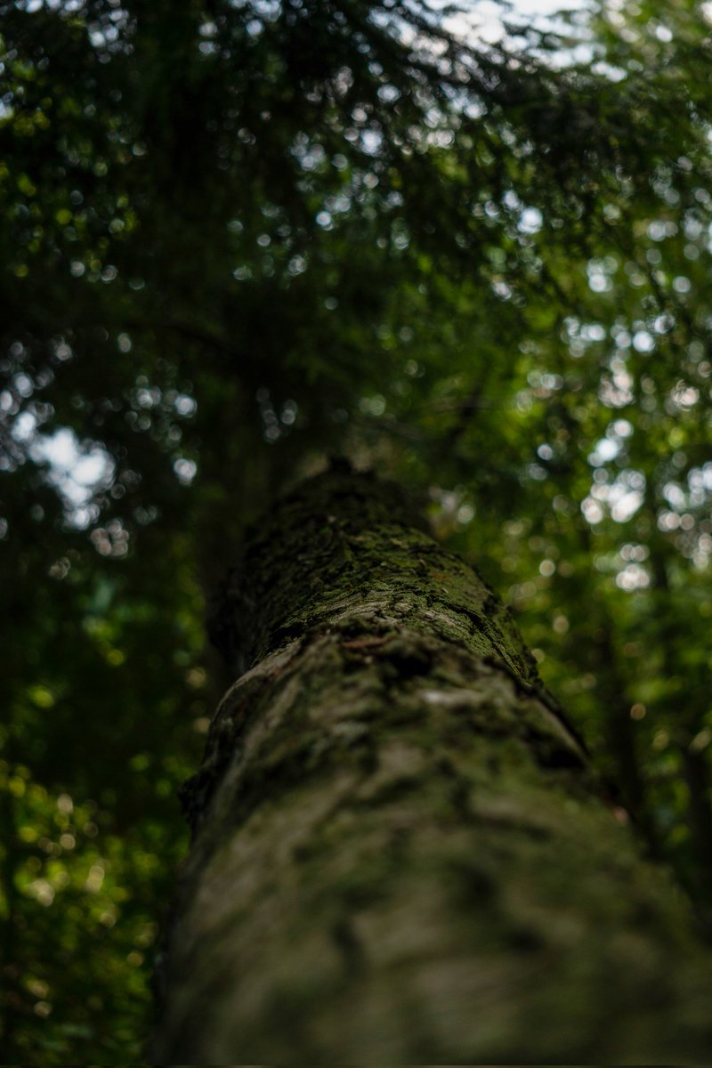 digitaldrew92's tweet photo. Some photos I took on a hike out near Port Elgin, some really nice #wildlife out in the park we went to. #photography #nature #hiking https://t.co/vMXdVDveOk