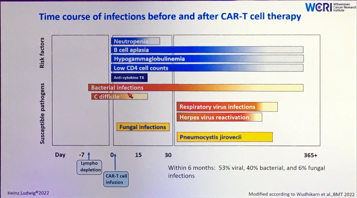 Mohty_EBMT's tweet photo. Beautiful summary slide about infectious complications in the context of immune therapies for myeloma by Dr H Ludwig at #ims2022 ⁦@Myeloma_Society⁩ https://t.co/g9ZlP24X3L