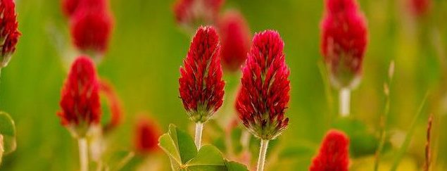 ¿Es normal sangrar durante el primer trimestre? gineline.com/es-normal-sang… #Aborto #Placenta Aunque el sangrado durante el embarazo no es normal, en el primer trimestre es más frecuente de lo que pensáis. Lo más importante es ver cuál es la causa y descartar algunas complicaciones.