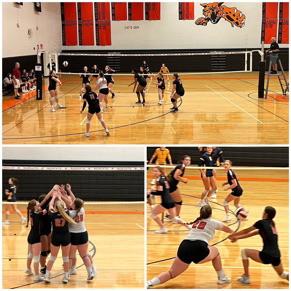 Randi Payne tweet media