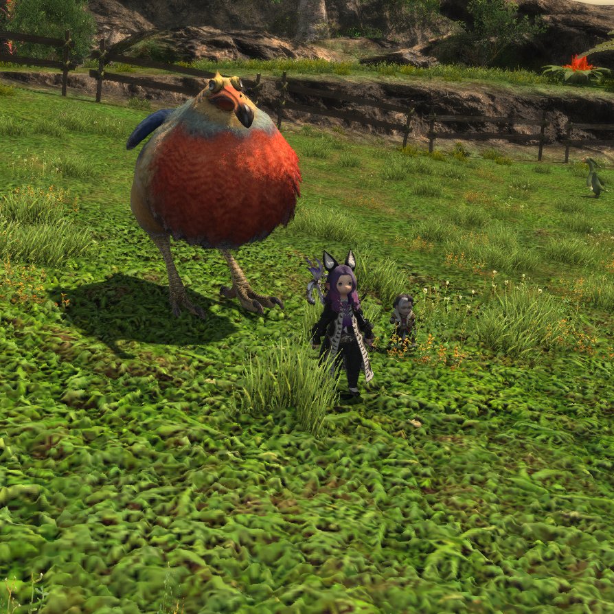 Midgettes's tweet image. Discovering the rare animals on my island :)  This is the prettiest one so far.  

Cameo appearance of the Rising minion I just love it when he snaps his fingers!

#FFXIV