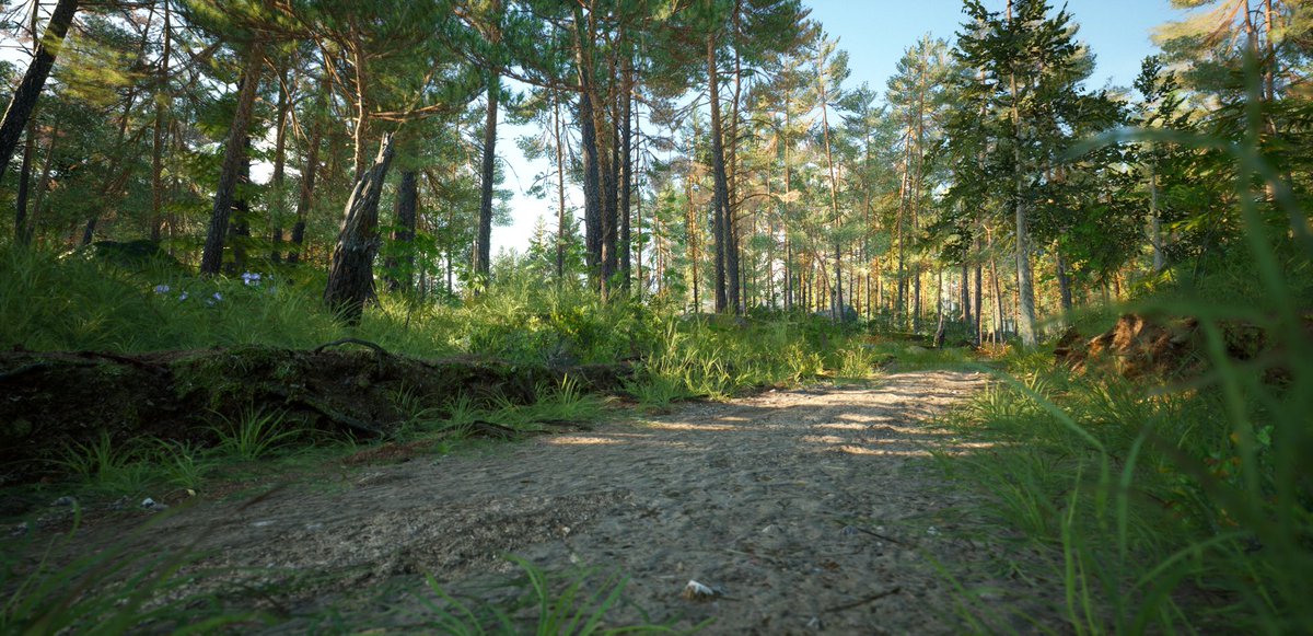MadRiderStudio's tweet photo. Forest path 

#gamedevelopment #screenshotsaturday #indiedev #UnrealEngine5 #enviroment #UE5 #gamedev https://t.co/DYcpro6oWB