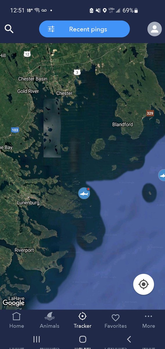 MikeB_HFX's tweet photo. @greatbigseas According to OCEARCH, Scott was nearby earlier in the week! https://t.co/hZLknOfujp