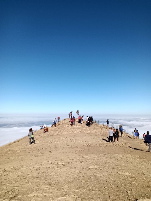 Zotero found #ethereum in a Blue vault at this location! Join me playing #coinhuntworld, It's awesome! coinhunt.gsc.im/ZfXwBqPVZJ #cryptocurrency #2839193