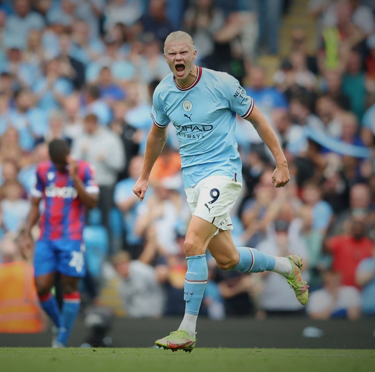 We have a dragon of our own!