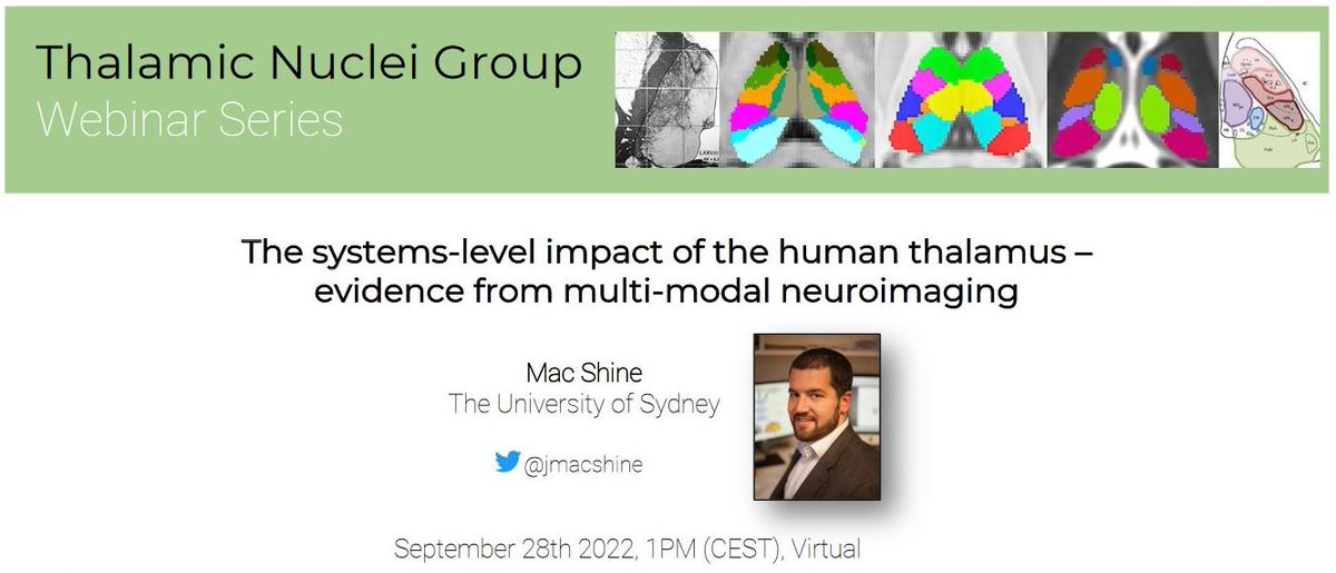 Thalamic Nuclei Neuroimaging Group tweet media