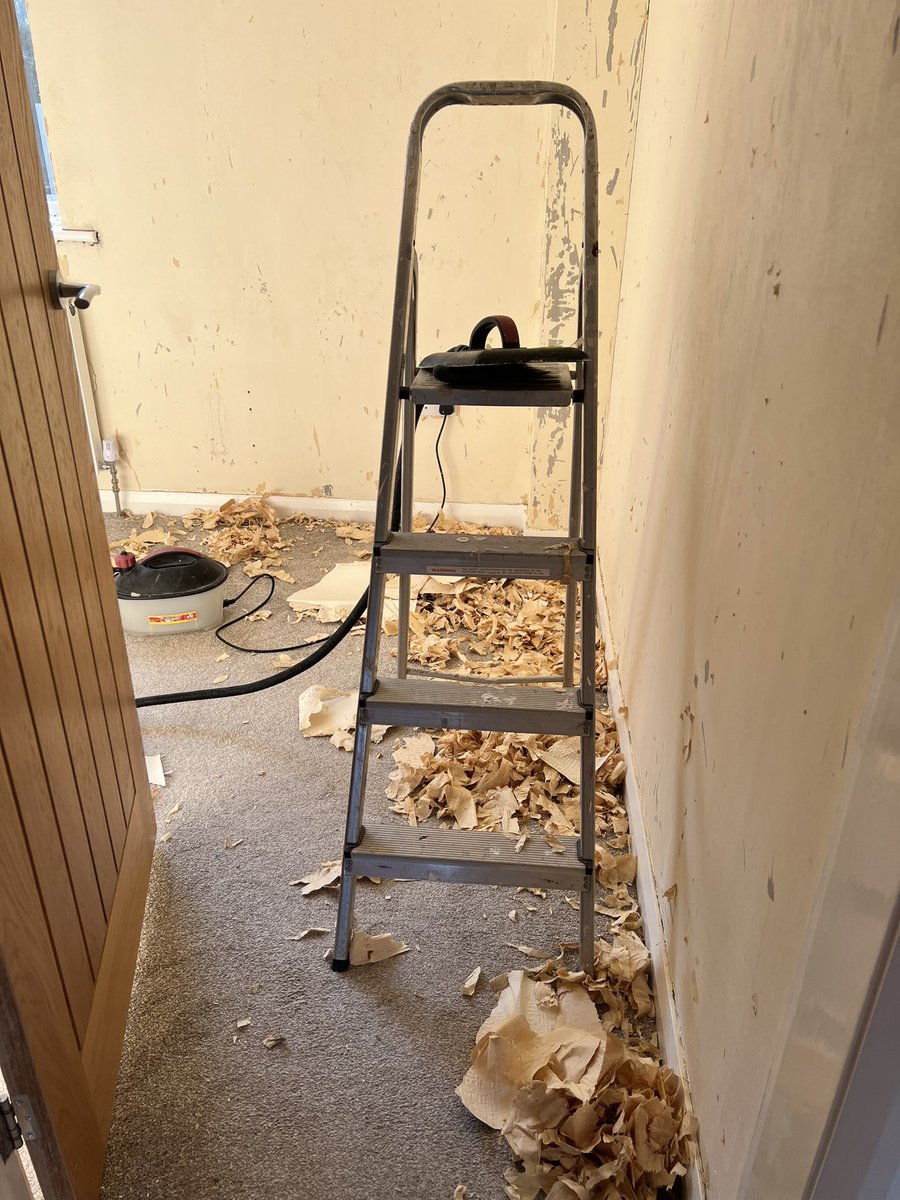 krjacks's tweet image. I think I like a walk better although can’t deny therapeutic benefits to wallpaper removal #AHPsActive #occupationalperformance #meaningfulactivity