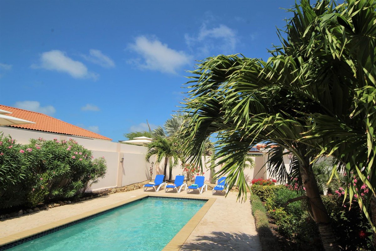 Happy_Rentals's tweet photo. Rental in the spotlight: Aruba Gloria Villa: This stunning vacation villa offers 3 bedrooms, 2 bathrooms, a Nice open plan living room-dining, a kitchen area and a swimming pool. All fully equipped.
💌rentals@arubahappyrentals.com
🌐https://t.co/QZ0jFHCSge https://t.co/GhcIeRZU8k