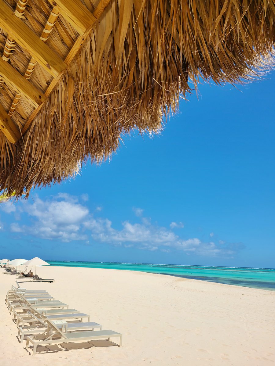 Let the waves hit your feet, and the sand be your seat at The <a href="/westinpuntacana/">The Westin Puntacana</a> 🌞.