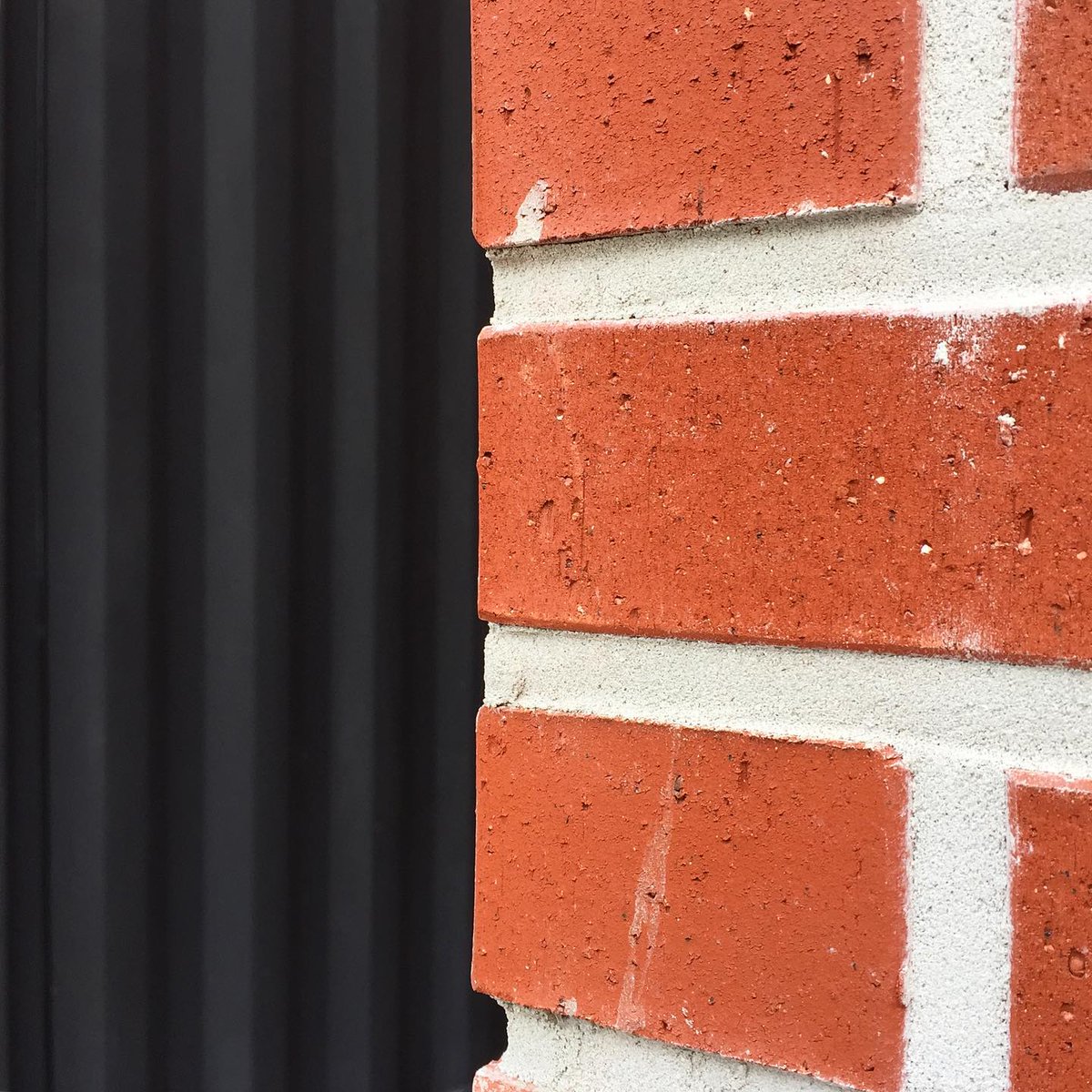 Patterns of Life NFT tweet media