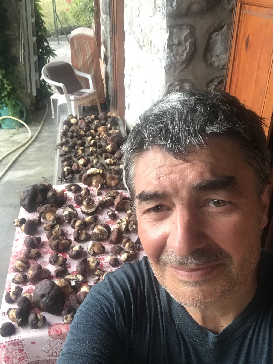 Philippe.ciais tweet media