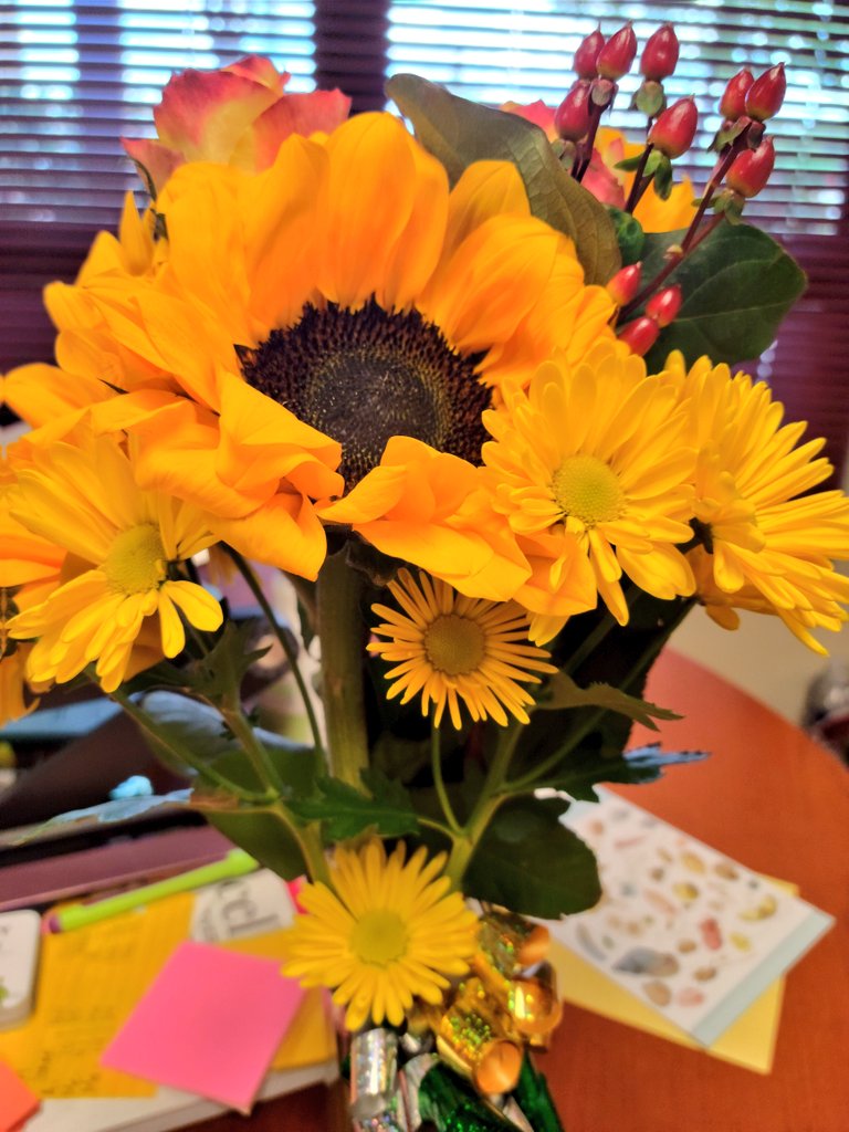 JJHansen26's tweet photo. My ❤️ is so blessed with an incredible learning community! 
 
Thank you to the Ambriz Family!  I appreciate you!  I ❤️ serving as your leader!  #TeamSISD #BetheLight #DreamSparkleShine https://t.co/9Pp1MgAtck