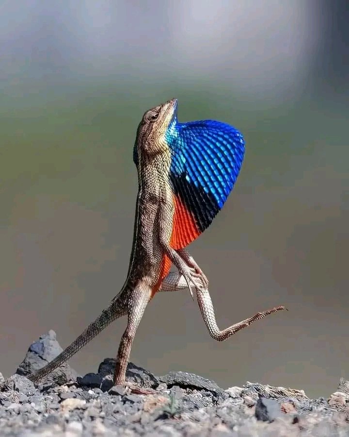 der Tag ist vorbei 😂