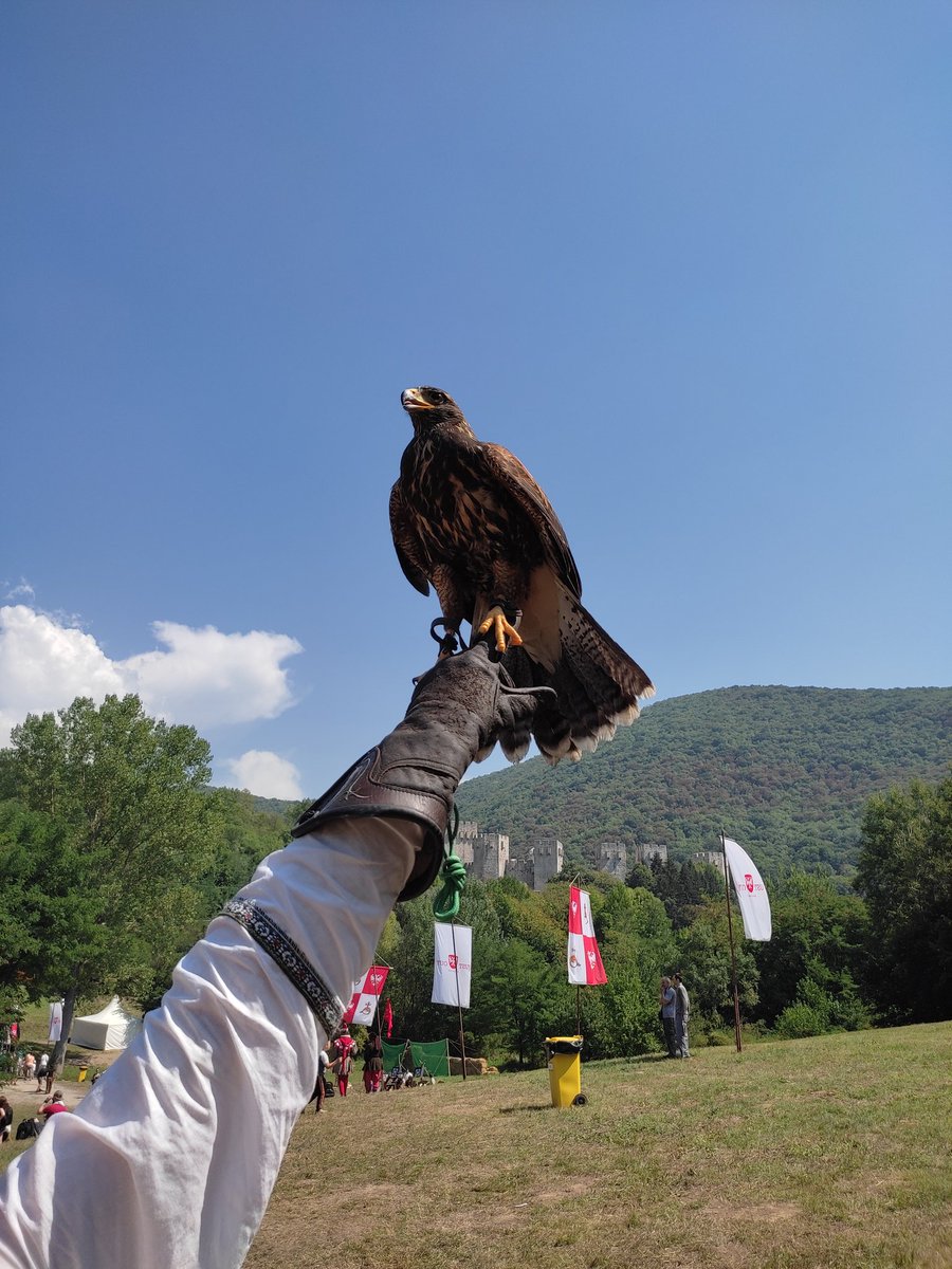nebulozer's tweet photo. 8. Just Out Festival, Manasija / Despotovac.
#justout https://t.co/lWPKmyrzLV
