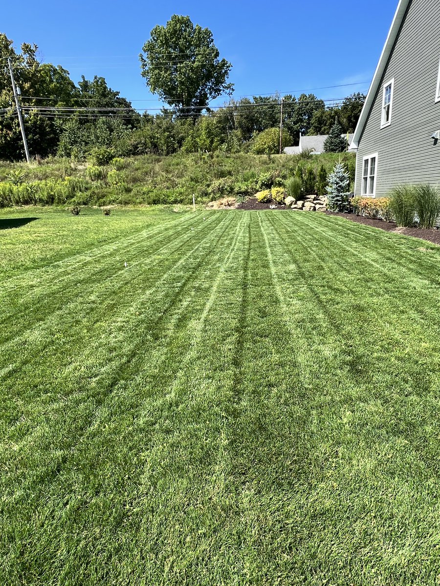 toddporter (@toddporter) on Twitter photo If you’re not using <a href="/GrassMasterLawn/">Grass Master</a> to get your yard up to snuff and fluff, you’re missing out. Thank you <a href="/GrassMasterLawn/">Grass Master</a> for getting this yard in shape!! If you’re not using <a href="/GrassMasterLawn/">Grass Master</a> to get your yard up to snuff and fluff, you’re missing out. Thank you <a href="/GrassMasterLawn/">Grass Master</a> for getting this yard in shape!!