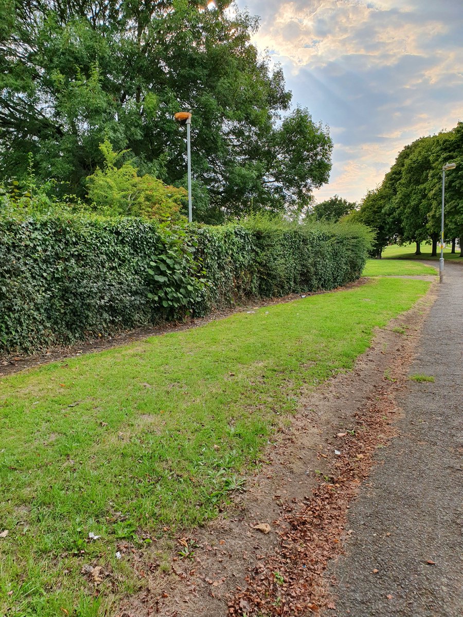 BrandwoodWMP's tweet photo. Officers conducted a weapons sweep on Bells Lane, nothing found on this occasion. #oneknifeonelife #keepingthecommunitysafe https://t.co/b8TEI5r7ZS