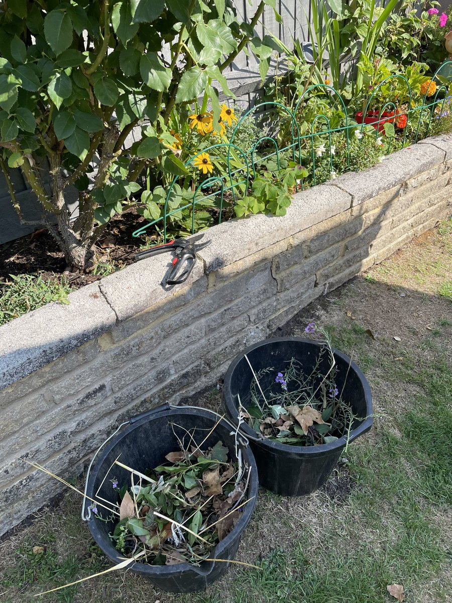 07Norton's tweet photo. Garden tidying and endless weeding but really enjoyed spending the afternoon in the garden #AHPsActive https://t.co/45zvQisX7w
