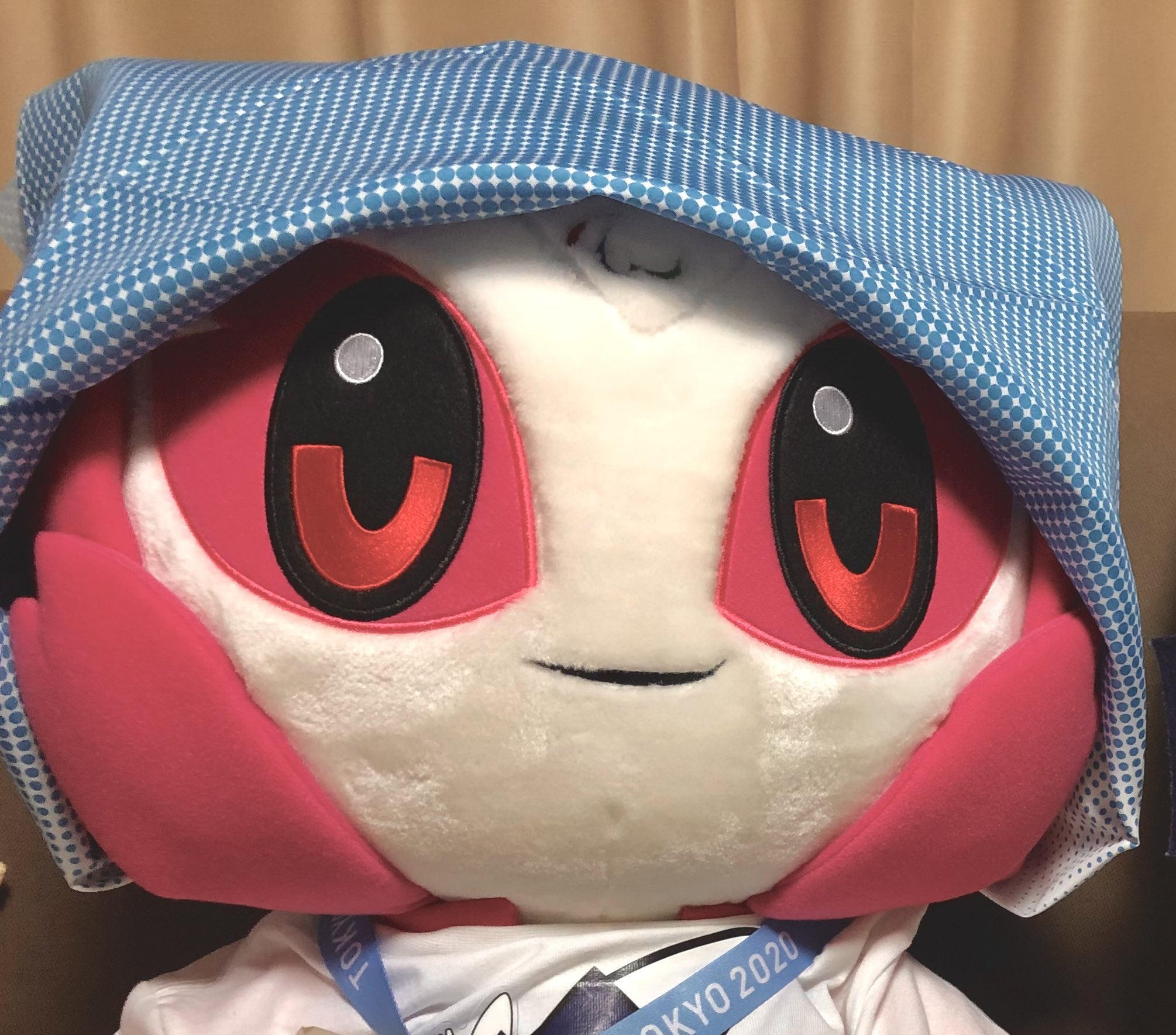 とも たん – ヤキニクエスト ともたん : メタボのアジ – AOOD