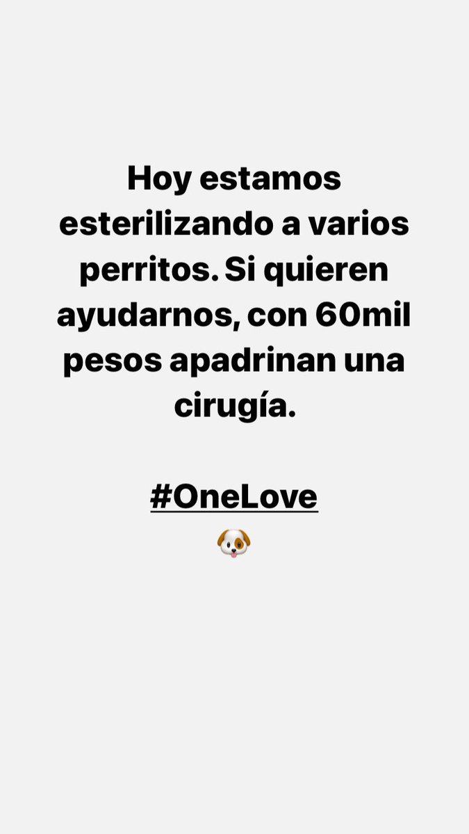 Ayúdenme a difundir <a href="/IsaFand/">I S A B E L L A</a> <a href="/ContoAlejandra/">Alejandra Conto</a> <a href="/MONYRODRIGUEZOF/">MÓNICA RODRÍGUEZ 🐤</a> <a href="/andreanimalidad/">Andrea Padilla Villarraga🐆</a> <a href="/AngieChaparroS/">Angie Chaparro Sierra</a>