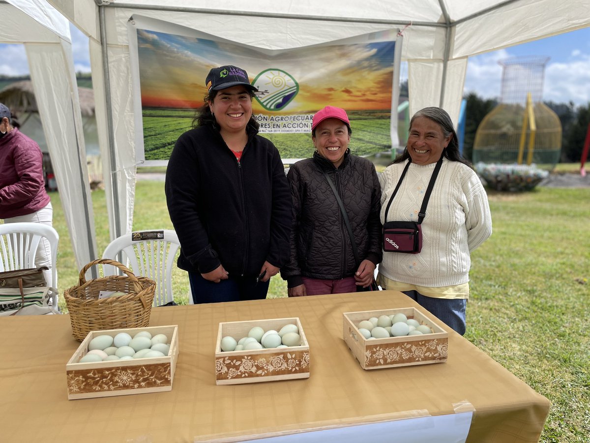 mbaquer's tweet photo. #ProyectoSelloAFC Hoy en el Ecoparque de Tulcán se realiza la feria gastronómica y concurso de chefs Sabores y Tradiciones. Participan restaurantes locales y 20 organizaciones de AFC. @AgriculturaEc @CarchiPrefectur @IICAnoticias @mne2019 @IICAEcuador @AgrocalidadEC https://t.co/fGVCKKBUrn