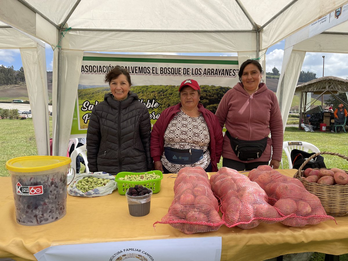 mbaquer's tweet photo. #ProyectoSelloAFC Hoy en el Ecoparque de Tulcán se realiza la feria gastronómica y concurso de chefs Sabores y Tradiciones. Participan restaurantes locales y 20 organizaciones de AFC. @AgriculturaEc @CarchiPrefectur @IICAnoticias @mne2019 @IICAEcuador @AgrocalidadEC https://t.co/fGVCKKBUrn