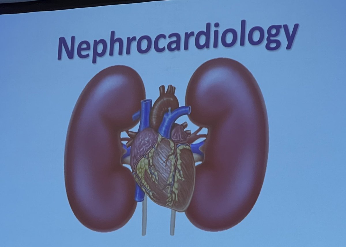 NephroGnome's tweet photo. When Cards and Nephro agree with fluid status 🧡 (notice how the kidneys are larger than the heart) #Nephrocentric #PRNephrologySociety #VolumeOverload #IntravascularVolumeDepletion #IVFs #CardioRenal #RenoCardio #AKIonCKD https://t.co/UfYECGMDIo