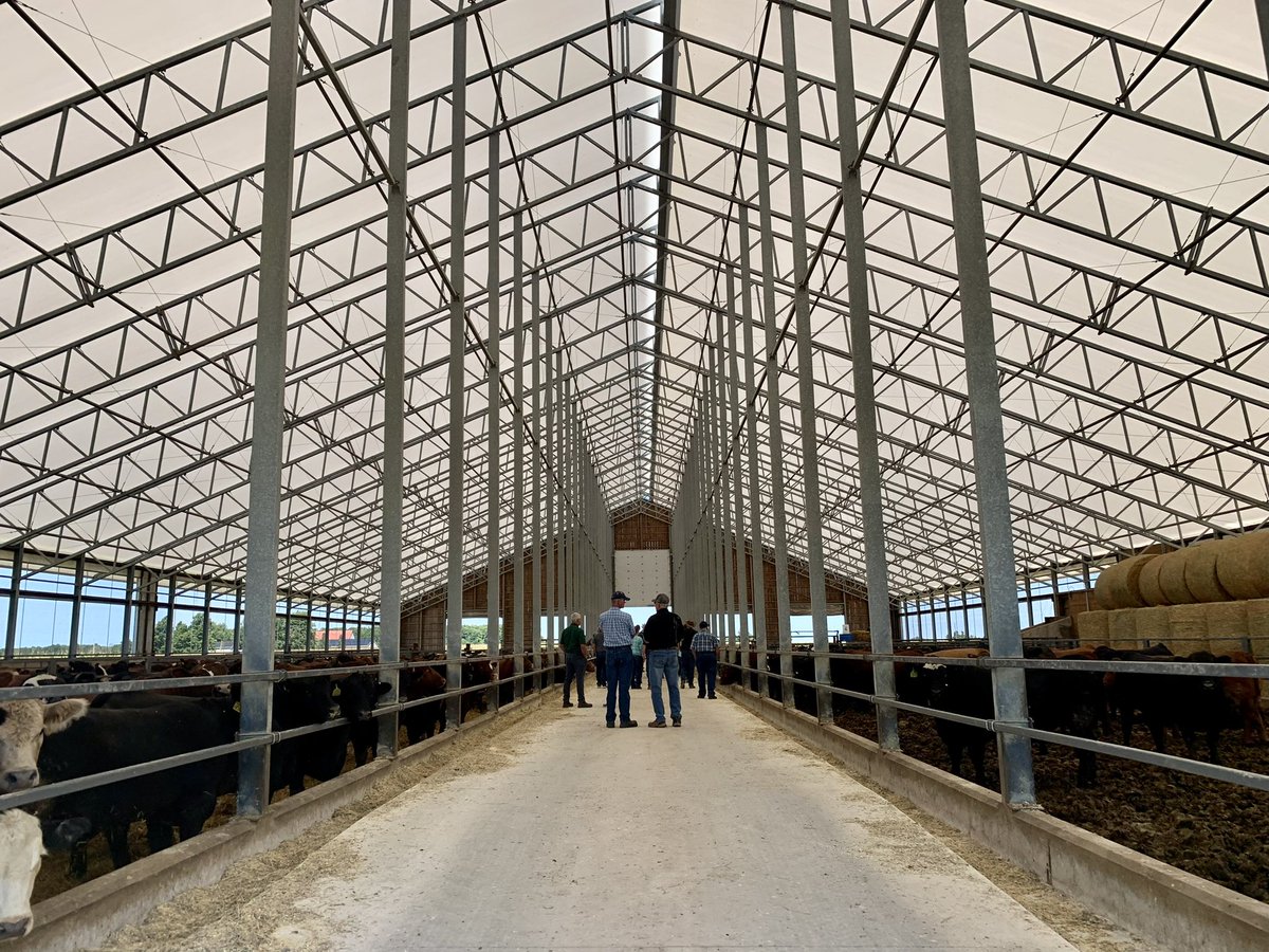 The #CowCalfManagementTour is at the final stop at Millsap Farms, hearing from David Millsap about the #ontbeef feedlot sector, and what they look for when sourcing calves for the feedlot. #ontag