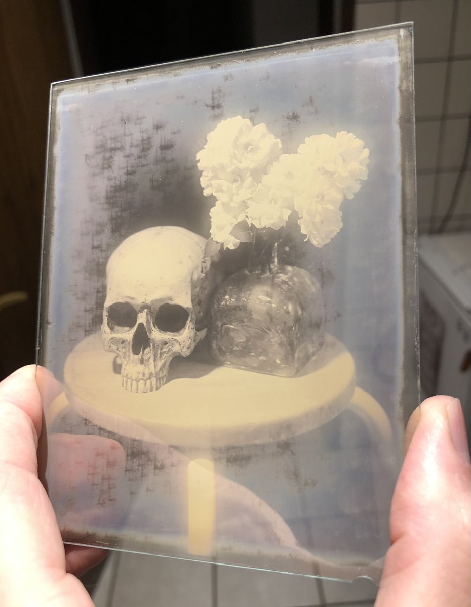 MartinNienberg's tweet photo. Best ambrotype like dry plate from today. I love the color and dreamyness.
#believeinfilm
#dryplates
#ambrotypes https://t.co/GXD3I1h9y1