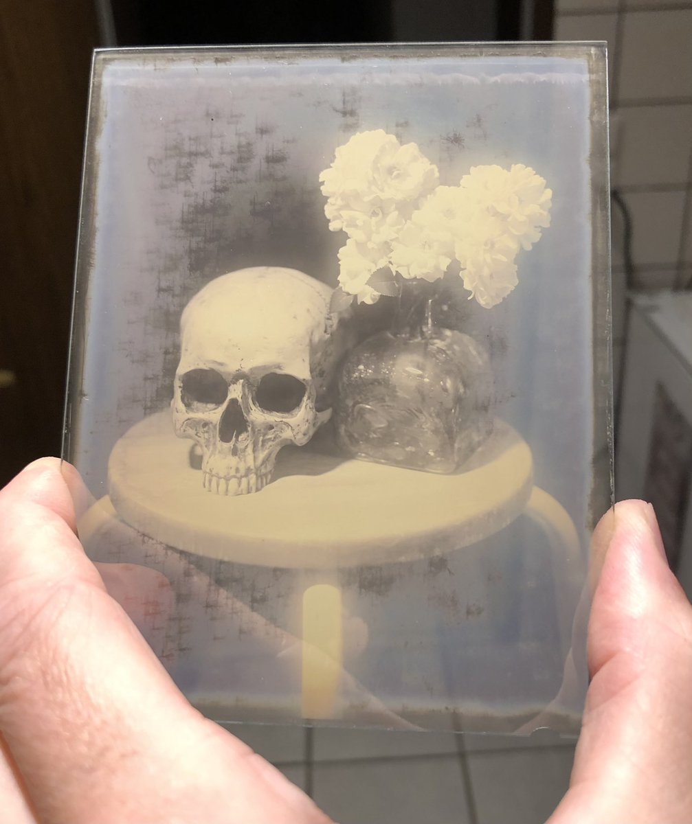 MartinNienberg's tweet photo. Best ambrotype like dry plate from today. I love the color and dreamyness.
#believeinfilm
#dryplates
#ambrotypes https://t.co/GXD3I1h9y1