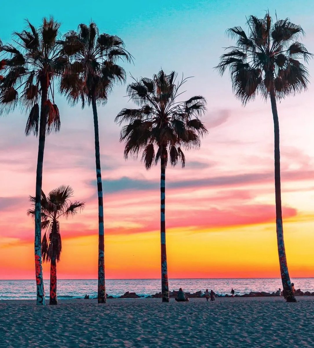 VeniceChamber's tweet photo. The sky speaks in a thousand colors. Will you listen? 🌅

📸 lenafound

#venicebeach #veniceca #venicelocals #beachcommunities #veniceliving #venicelife #socalfoodies #venicelocals #beachcommunities #veniceliving #venicelife #sunset https://t.co/a72lsQLqEa