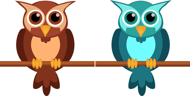 kenn_bech's tweet photo. Domain on sale for $199     https://t.co/bfIWuGyl2h

HOW + WHY Does Google Use .XYZ Domains ?

         https://t.co/dn7lkvmboD 

More than 1,000 Domains at just $100 each

 #domains #NFT #NFTCommunity #birds https://t.co/f1YF483qkY