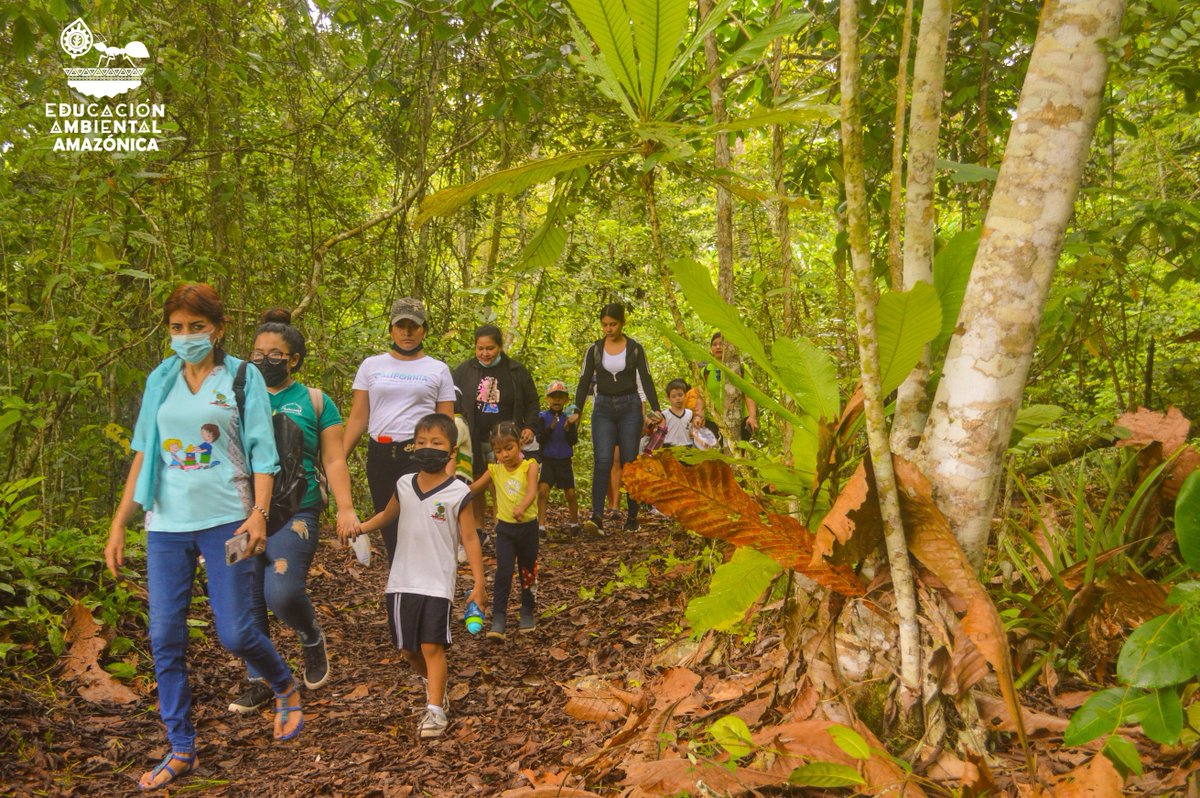 eduamazonica's tweet photo. #EducaciónAmbientalAmazónica
#InterpretaciónAmbiental
https://t.co/dJAYccGdJN ♻️

✅ Nuestro equipo realizó la visita guiada de interpretación ambiental a los padres y alumnos de la I.E.I. N° 591 Modelo San Juan. 
✅ La actividad se desarrolló en la RN Allpahuayo Mishana. https://t.co/wOjetjfqzW