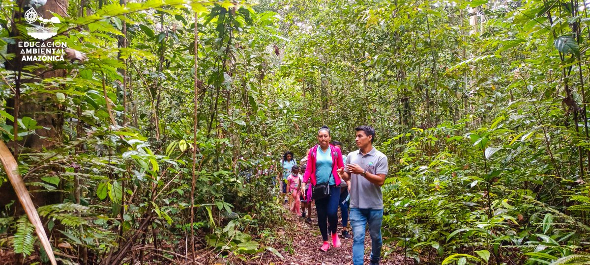 eduamazonica's tweet photo. #EducaciónAmbientalAmazónica
#InterpretaciónAmbiental
https://t.co/dJAYccGdJN ♻️

✅ Nuestro equipo realizó la visita guiada de interpretación ambiental a los padres y alumnos de la I.E.I. N° 591 Modelo San Juan. 
✅ La actividad se desarrolló en la RN Allpahuayo Mishana. https://t.co/wOjetjfqzW